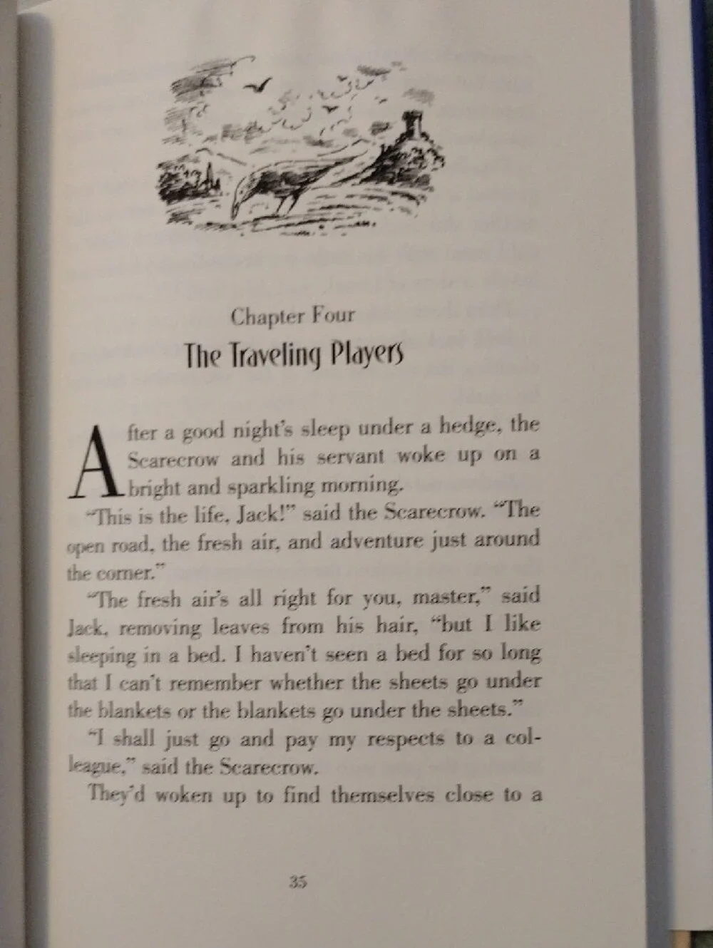 The Scarecrow And His Servant -2005 Hardcover